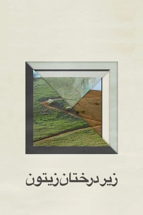 Zeytin Ağaçları Altında