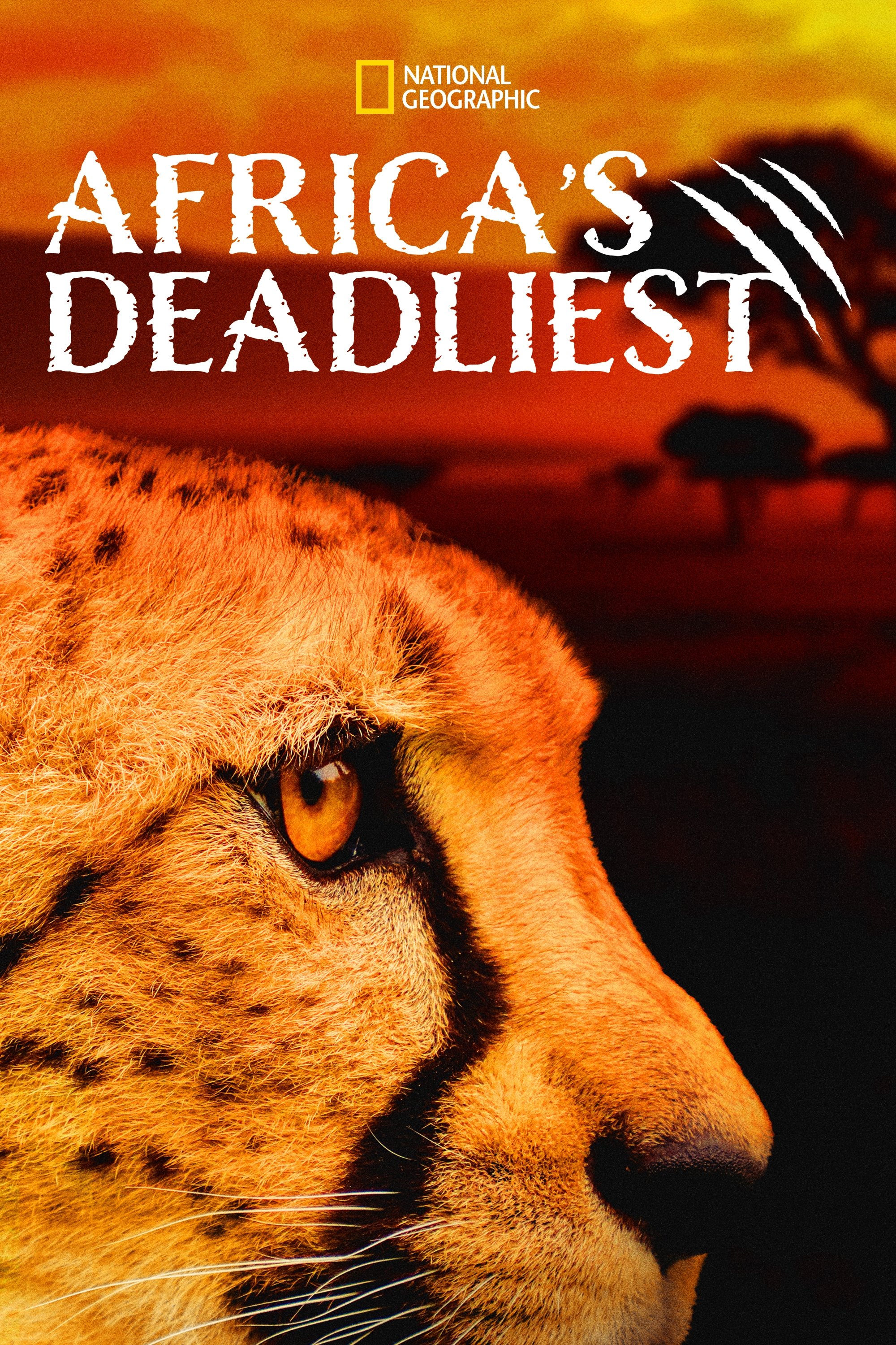 Africa’s Deadliest