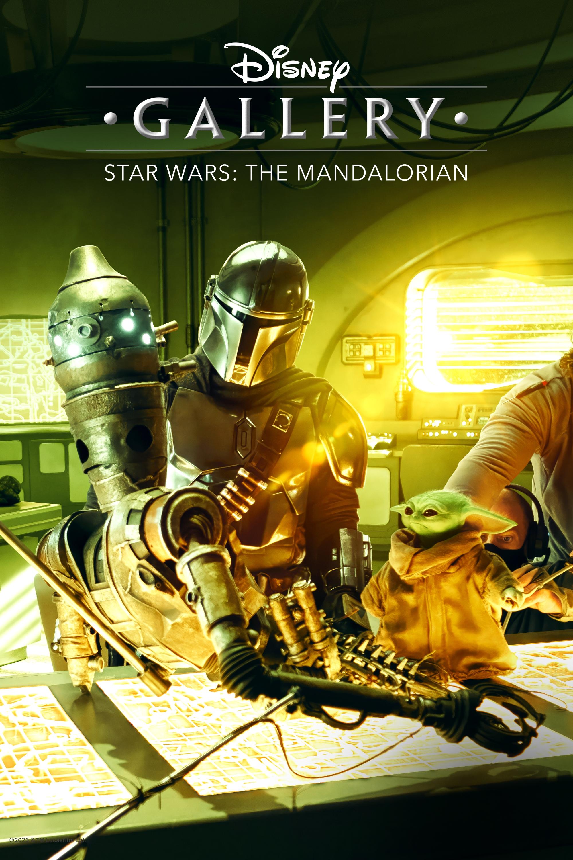 Disney Gallery Star Wars The Mandalorian
